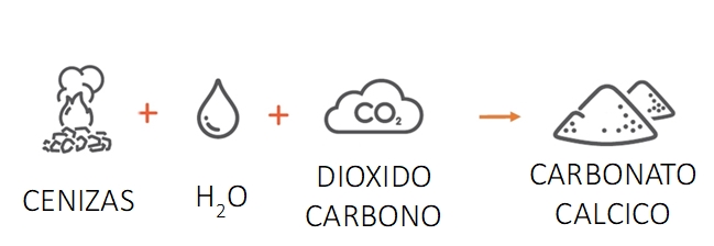 Gráfica ecoaridos